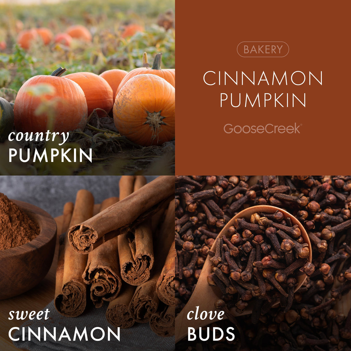 Cinnamon Pumpkin 3-Wick Candle
